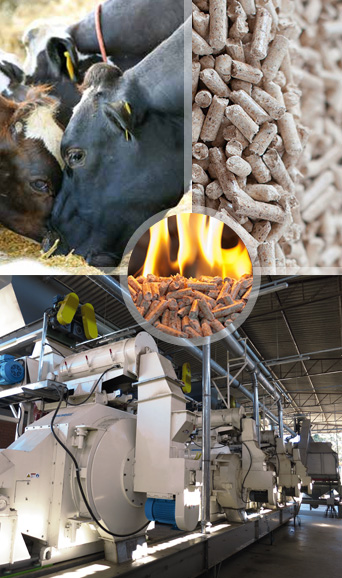 Food and Feed Machinery