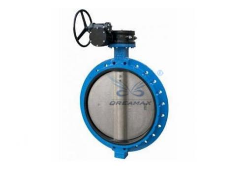 Single Flanged Butterfly Valve