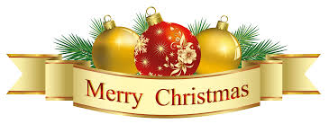 Shengyang Electric Wishes you a Merry Christmas and a Happy New Year