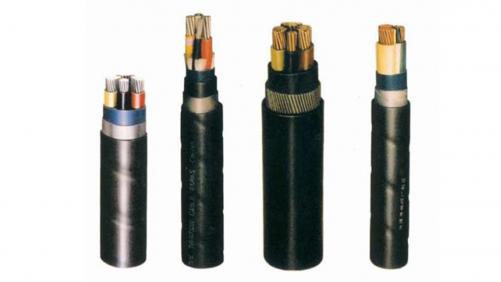 Termite And Rodent Resistant Cables