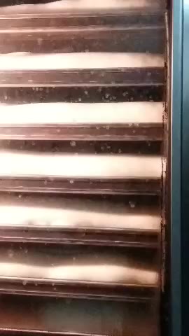 YX Baguette Bread Production Line