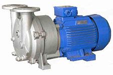 Water Ring Vaccum Pump