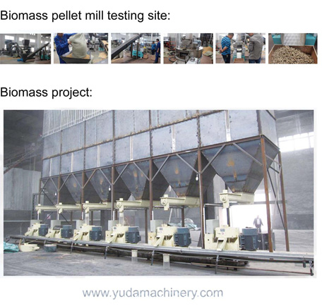Biomass project
