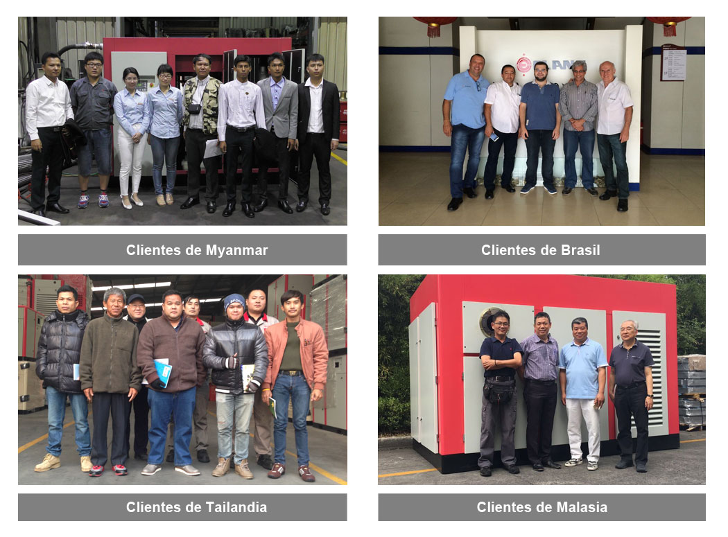 Elang Clientes