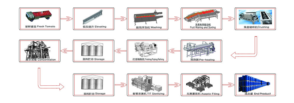 flow chart of tomato processing line