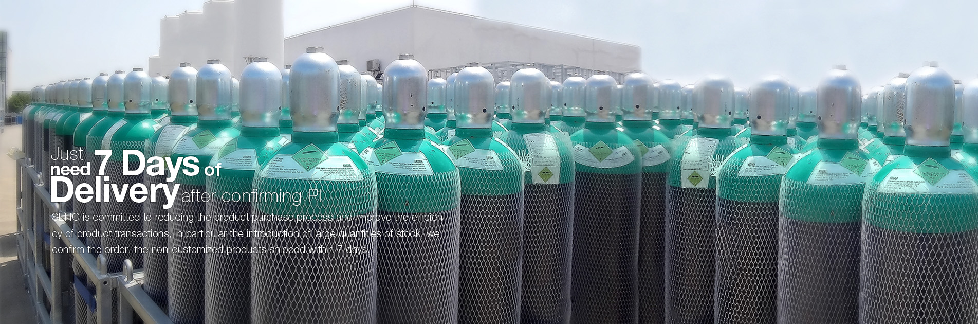 Experienced supplier of Gas cylinder